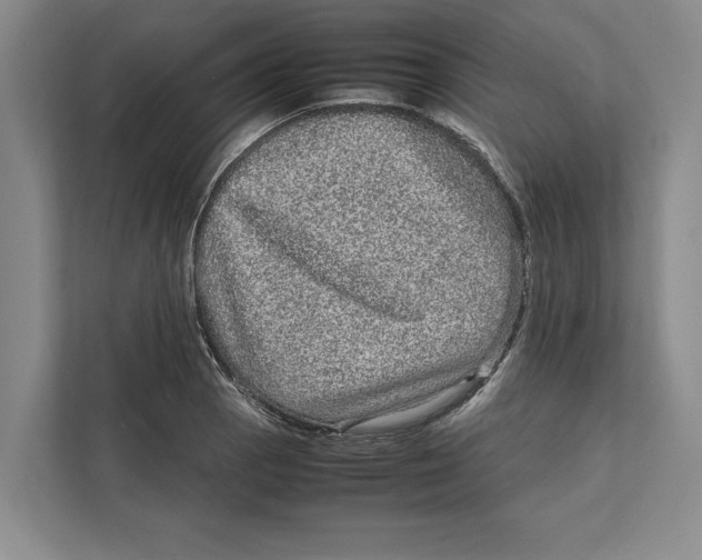 X0000111841129200908201211