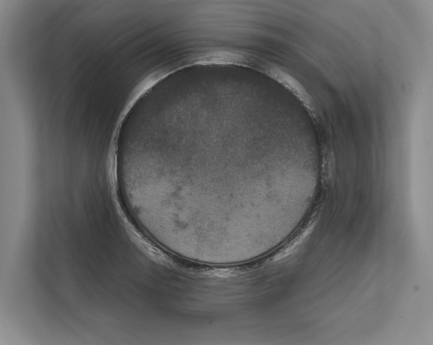 X0000111841130200908201211