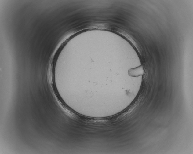 X0000111841131200908201211