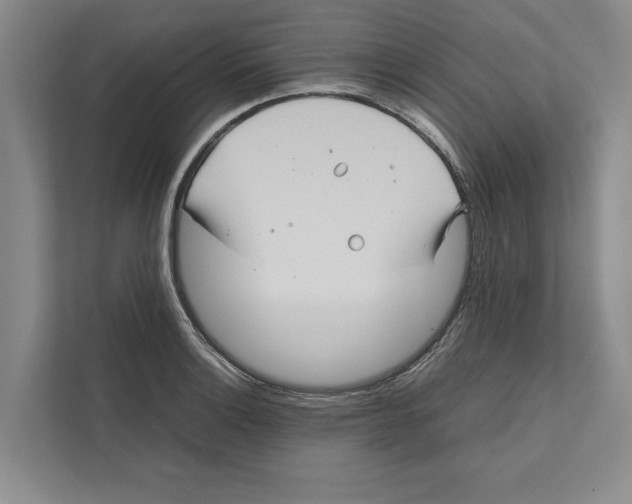 X0000111841132200908201211