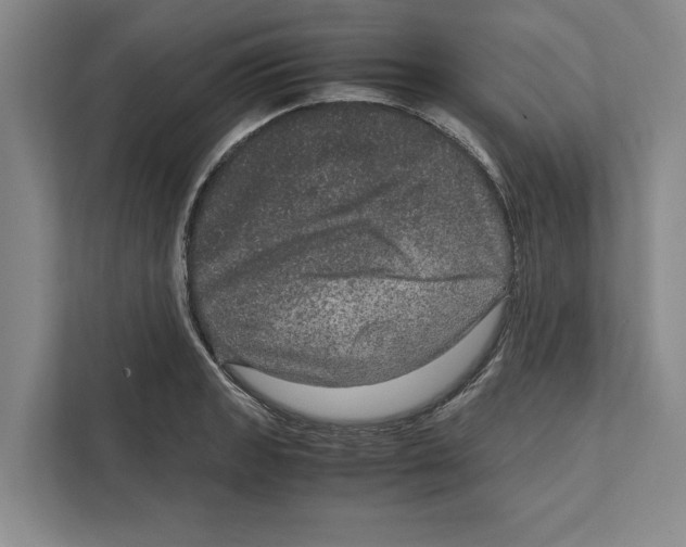 X0000111841133200908201211