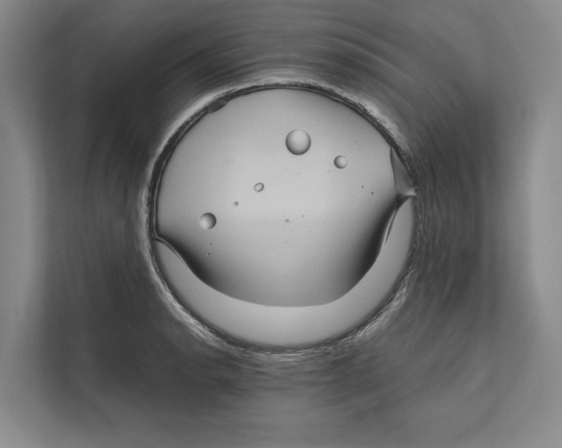 X0000111841134200908201211