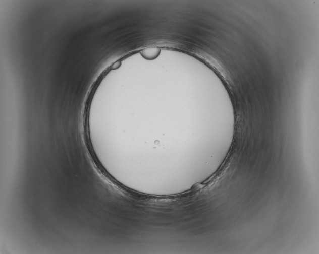 X0000111841135200908201211