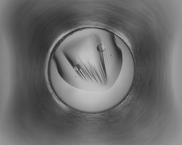 X0000111841136200908201211