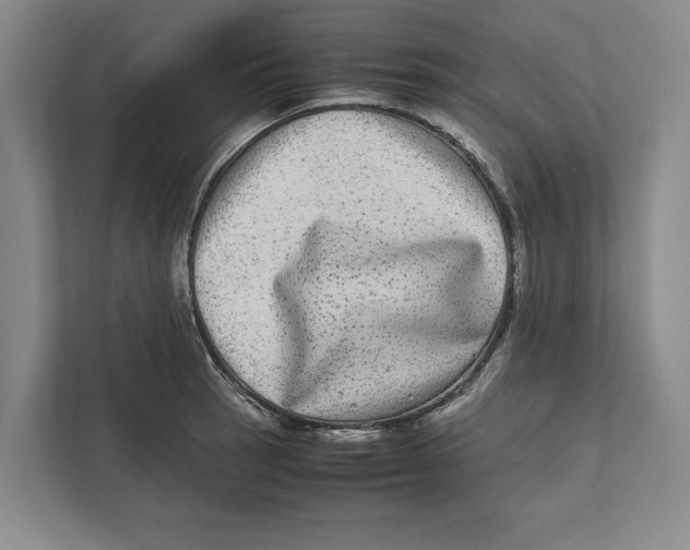 X0000111841137200908201211