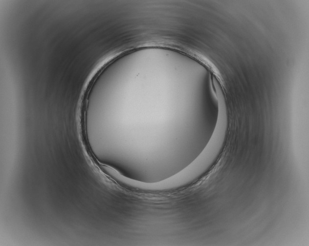 X0000111841138200908201211