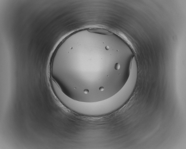 X0000111841140200908201211