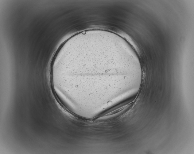 X0000111841143200908201211