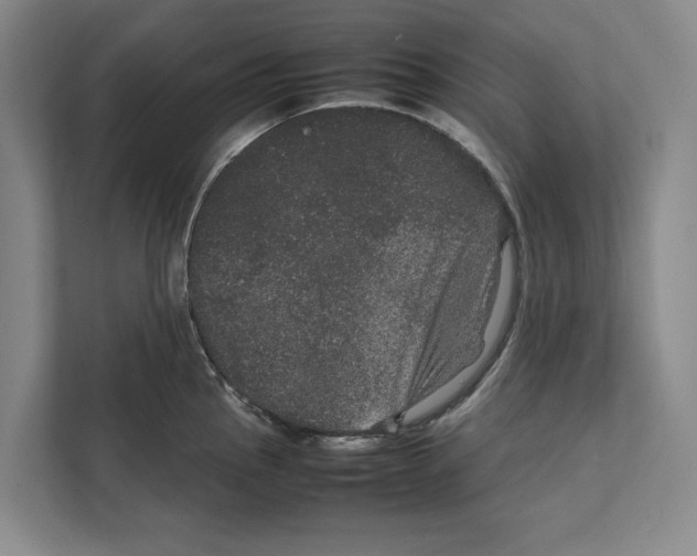 X0000111841145200908201211