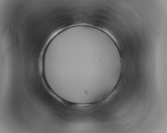 X0000111841151200908201211