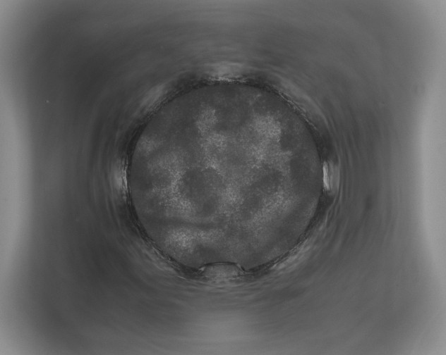 X0000111841155200908201211