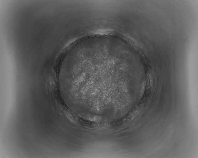 X0000111841158200908201211