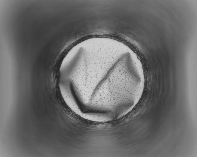 X0000111841160200908201211