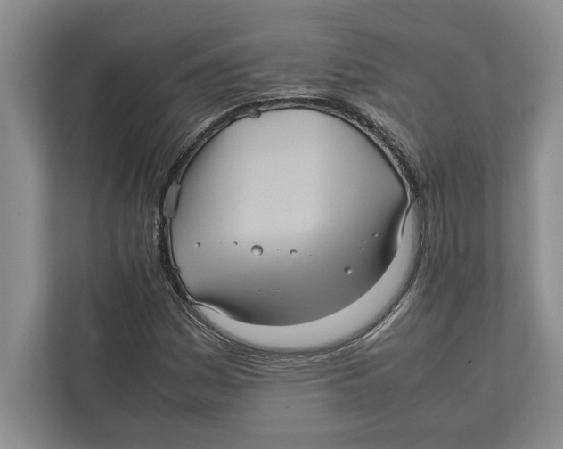 X0000111841161200908201211