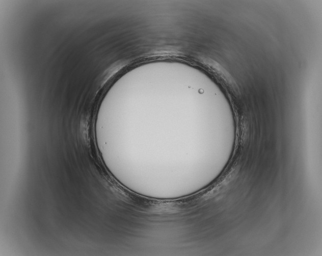 X0000111841162200908201211