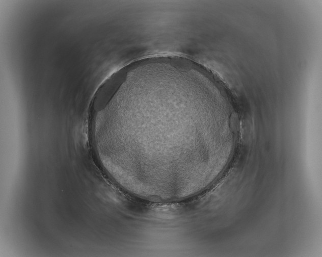 X0000111841165200908201211