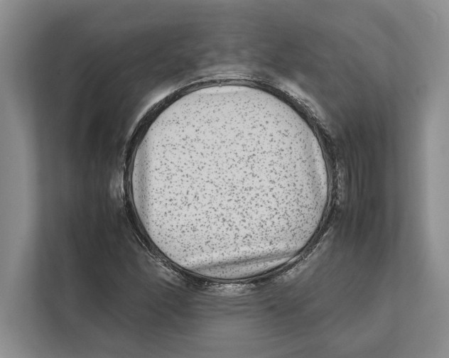 X0000111841166200908201211