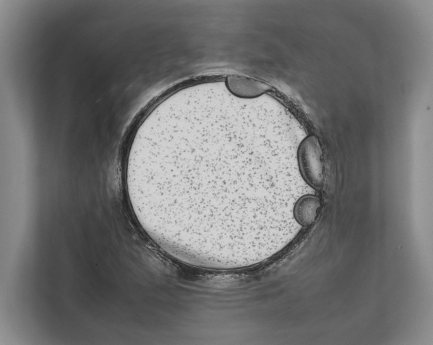 X0000111841167200908201211