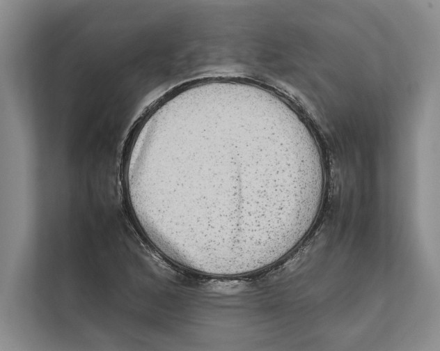 X0000111841168200908201211