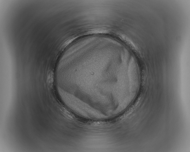 X0000111841169200908201211