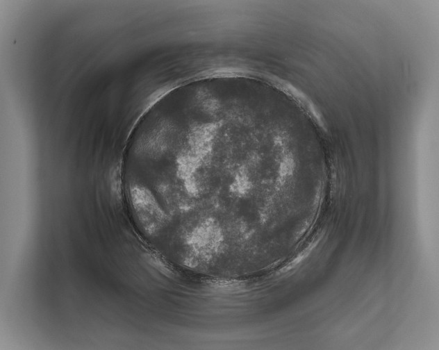 X0000111841170200908201211