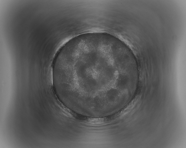 X0000111841171200908201211