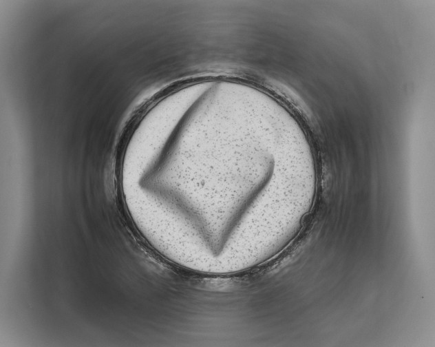 X0000111841172200908201211