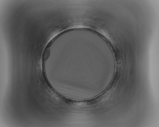 X0000111841173200908201211