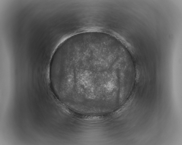 X0000111841174200908201211