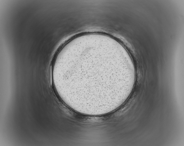 X0000111841175200908201211