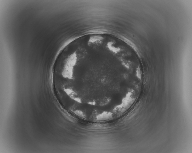 X0000111841179200908201211