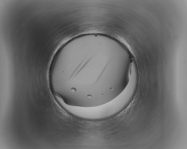 X0000111841181200908201211