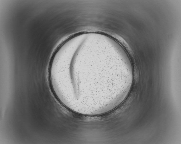 X0000111841183200908201210