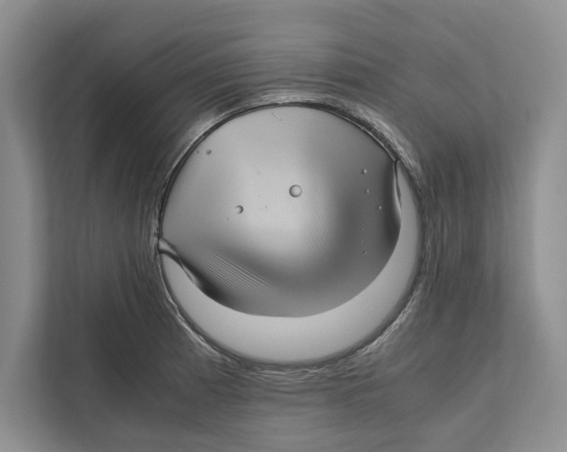 X0000111841185200908201210