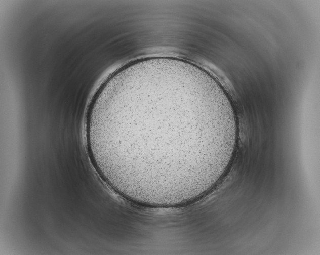 X0000111841188200908201210