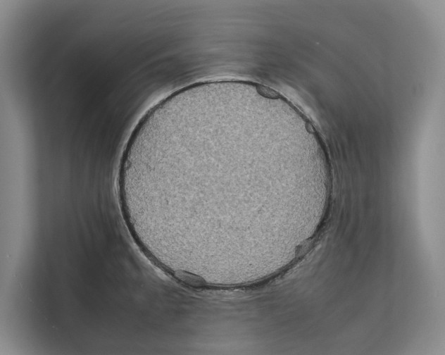 X0000111841189200908201210