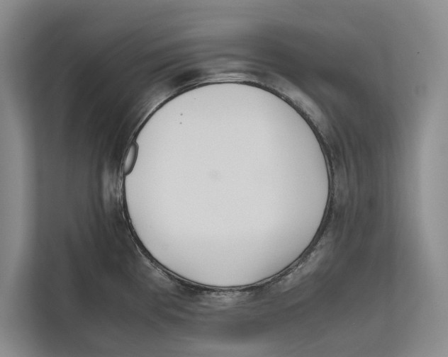 X0000111841193200908201210