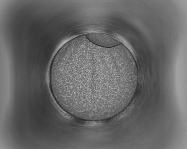 X0000111841195200908201210