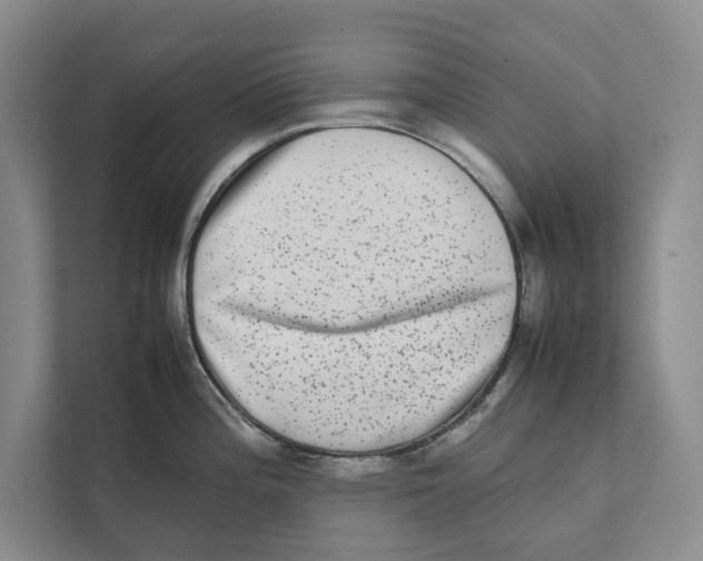 X0000111841196200908201210