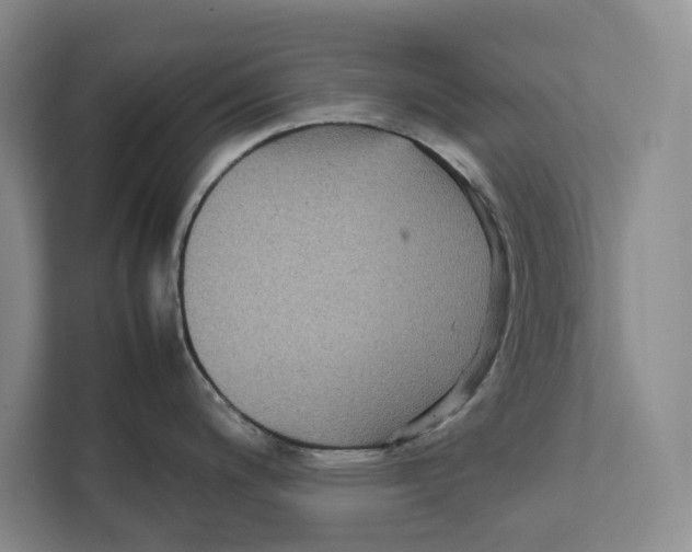 X0000111841200200908201210