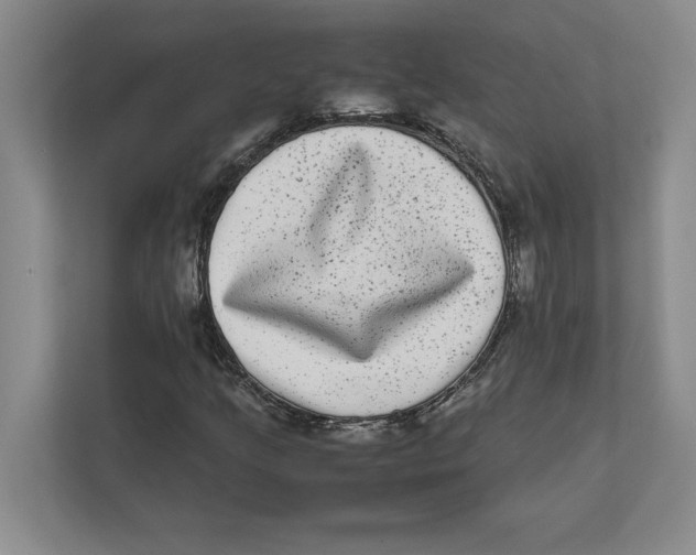 X0000111841205200908201210