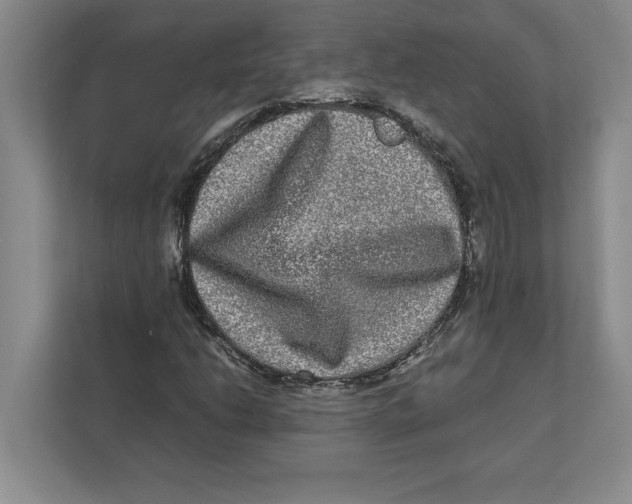 X0000111841206200908201210