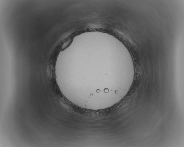 X0000111841207200908201210