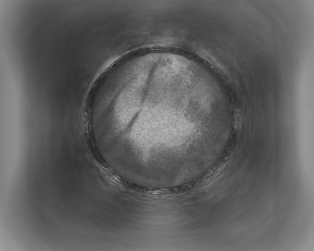 X0000111841208200908201210