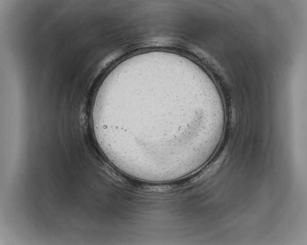 X0000111841210200908201210