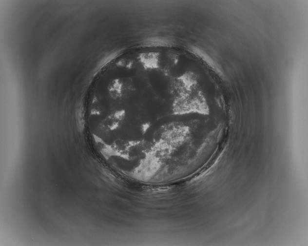 X0000111841213200908201210