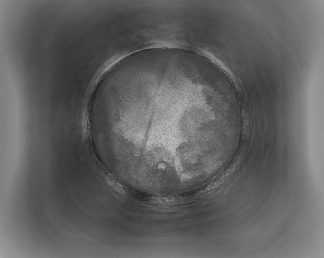 X0000111841215200908201210