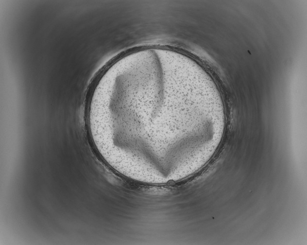 X0000111841216200908201210