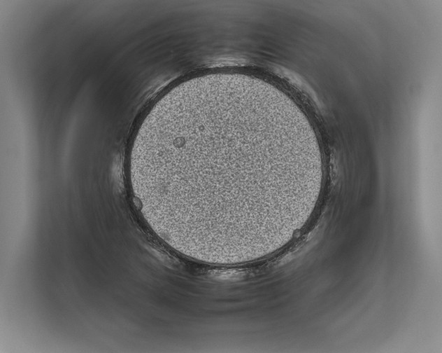 X0000111841217200908201210