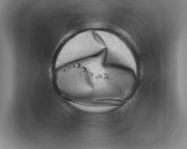 X0000111841218200908201210